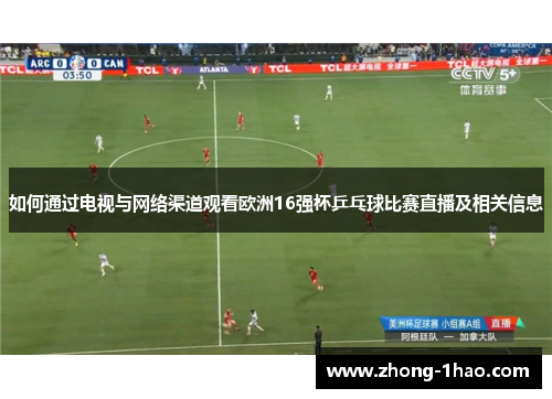 如何通过电视与网络渠道观看欧洲16强杯乒乓球比赛直播及相关信息