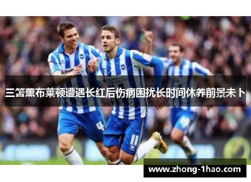 三笘薰布莱顿遭遇长红后伤病困扰长时间休养前景未卜